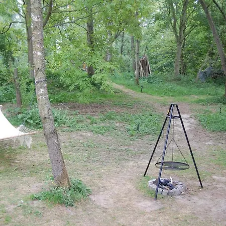 Pipowagen/paardentram * Dreumel