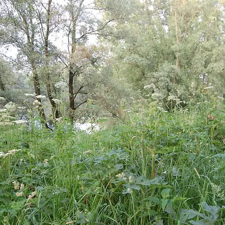 Pipowagen/paardentram