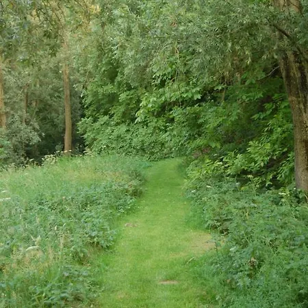 Pipowagen/paardentram