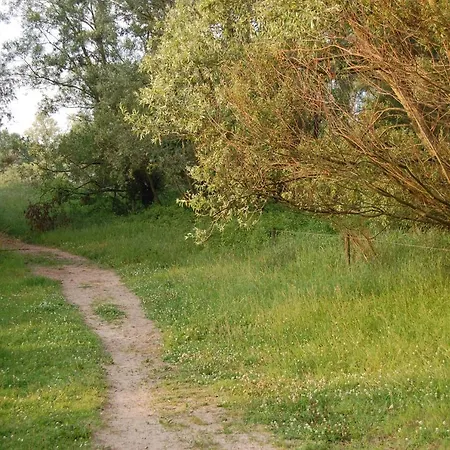 Pipowagen/paardentram Dreumel